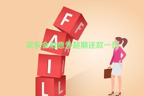 京东金融意外超期还款一日