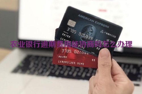 农业银行逾期费用能协商吗怎么办理