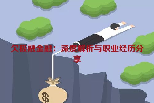 欠极融金融：深度解析与职业经历分享