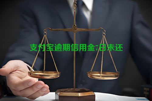 支付宝逾期信用金7日未还