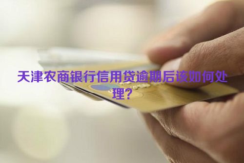 天津农商银行信用贷逾期后该如何处理？