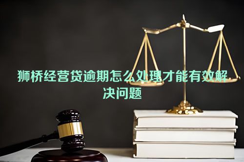 狮桥经营贷逾期怎么处理才能有效解决问题