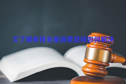 欠了很多钱全是消费贷该如何解决