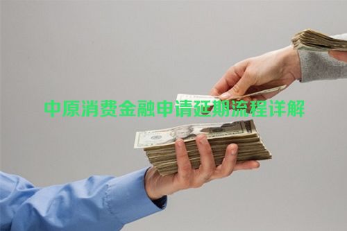 中原消费金融申请延期流程详解