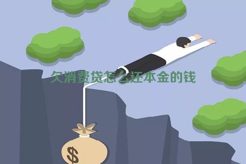 欠消费贷怎么还本金的钱