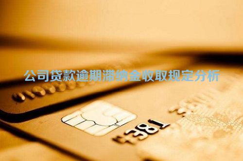 公司贷款逾期滞纳金收取规定分析