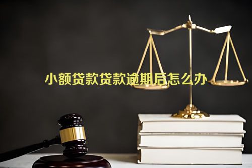 小额贷款贷款逾期后怎么办