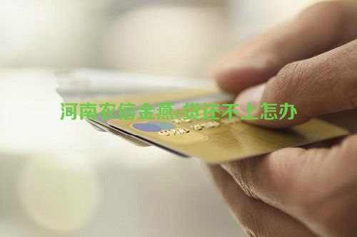 河南农信金燕e贷还不上怎办