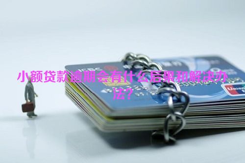 小额贷款逾期会有什么后果和解决办法？