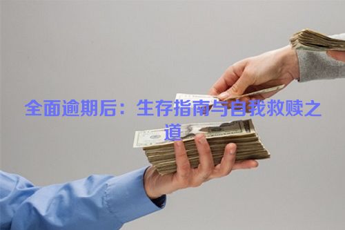 全面逾期后：生存指南与自我救赎之道