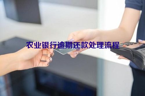 农业银行逾期还款处理流程