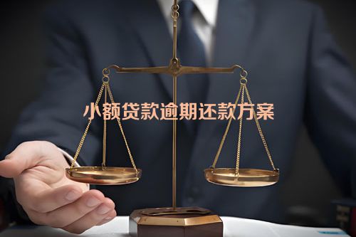 小额贷款逾期还款方案