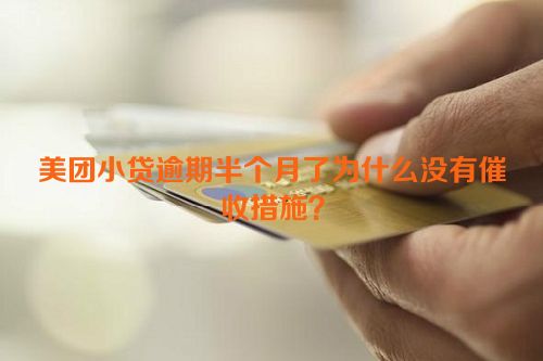 美团小贷逾期半个月了为什么没有催收措施？