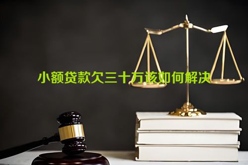 小额贷款欠三十万该如何解决