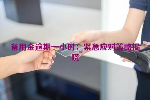 备用金逾期一小时：紧急应对策略揭晓