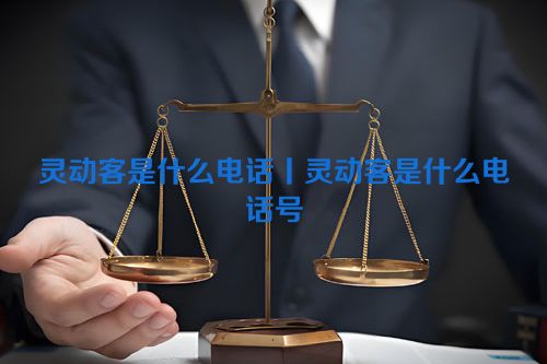 灵动客是什么电话丨灵动客是什么电话号