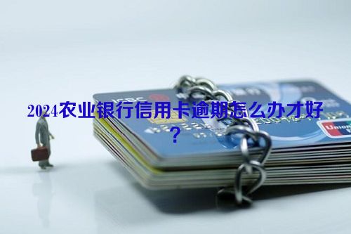 2024农业银行信用卡逾期怎么办才好？