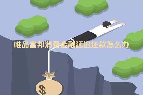 唯品富邦消费金融延迟还款怎么办