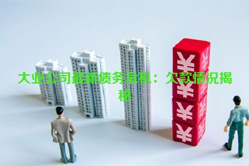 大业公司最新债务危机：欠款情况揭秘