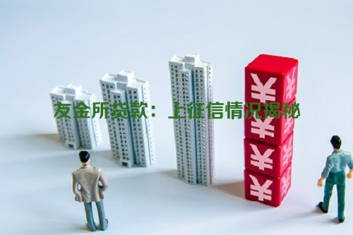 友金所贷款：上征信情况揭秘