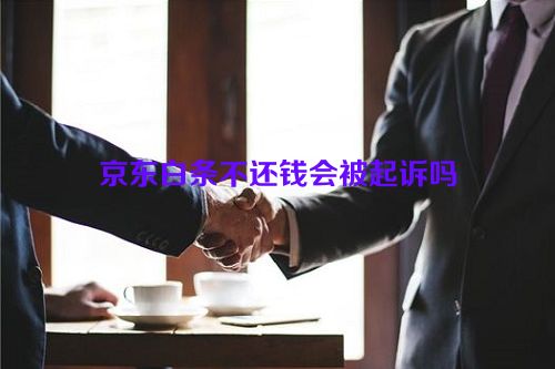 京东白条不还钱会被起诉吗