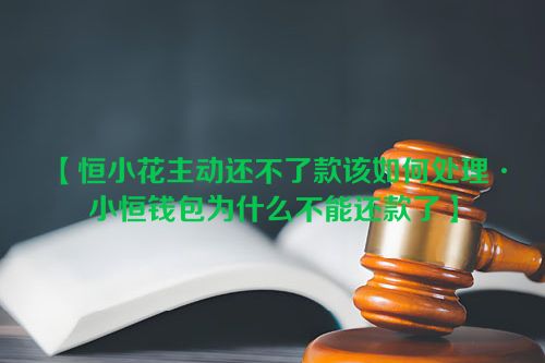 恒小花主动还不了款该如何处理·小恒钱包为什么不能还款了