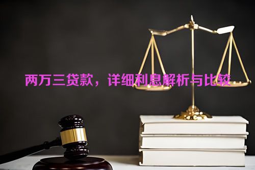 两万三贷款，详细利息解析与比较