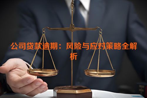 公司贷款逾期：风险与应对策略全解析