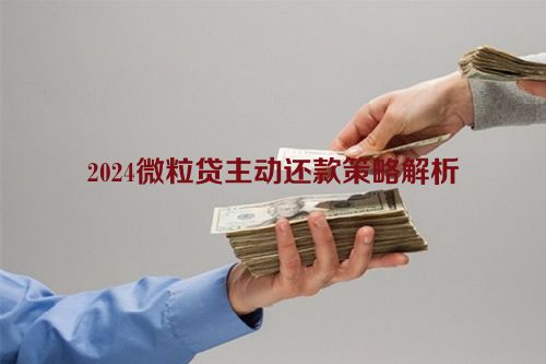 2024微粒贷主动还款策略解析