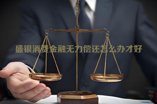 盛银消费金融无力偿还怎么办才好