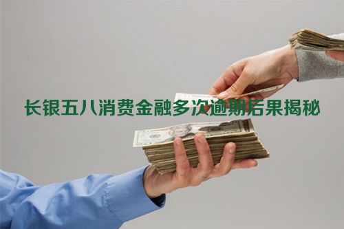 长银五八消费金融多次逾期后果揭秘