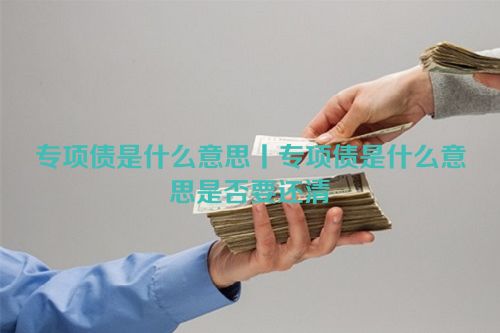 专项债是什么意思丨专项债是什么意思是否要还清