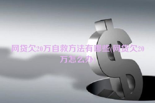 网贷欠20万自救方法有哪些(网贷欠20万怎么办)