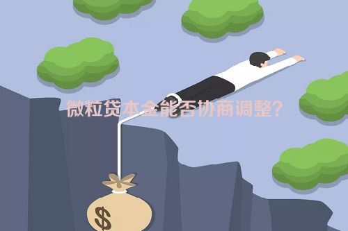 微粒贷本金能否协商调整？