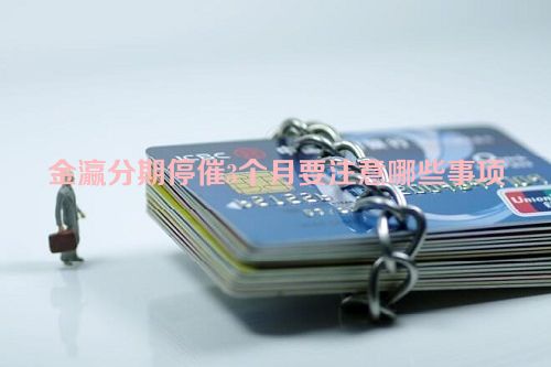 金瀛分期停催3个月要注意哪些事项