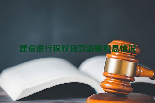 建设银行税收贷款逾期利息情况