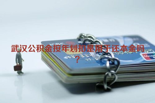 武汉公积金按年划扣是用于还本金吗？