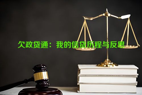 欠政贷通：我的信贷历程与反思