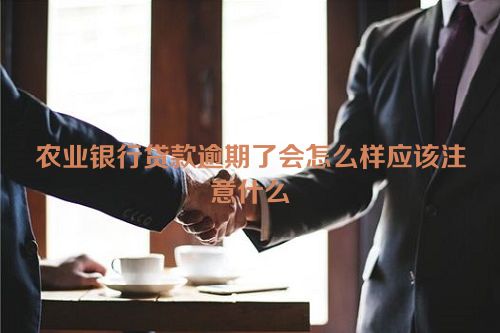 农业银行贷款逾期了会怎么样应该注意什么