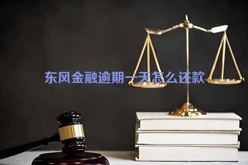 东风金融逾期一天怎么还款