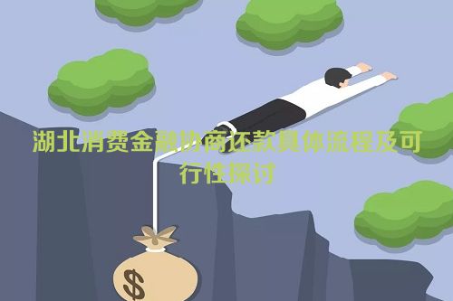 湖北消费金融协商还款具体流程及可行性探讨