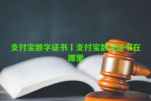 支付宝数字证书丨支付宝数字证书在哪里