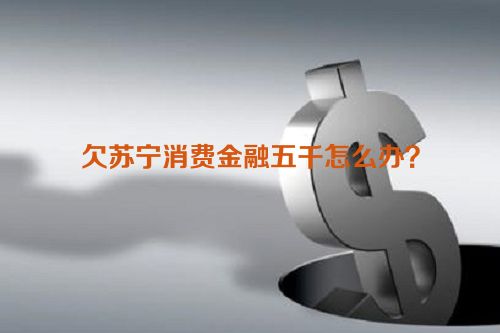 欠苏宁消费金融五千怎么办？