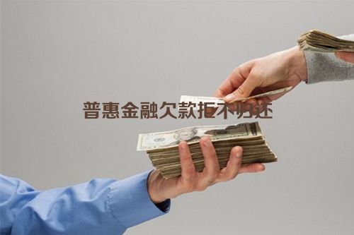 普惠金融欠款拒不归还