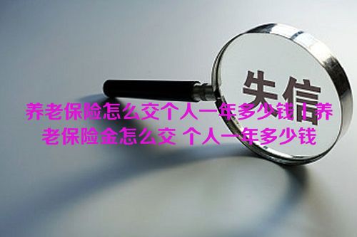 养老保险怎么交个人一年多少钱丨养老保险金怎么交 个人一年多少钱