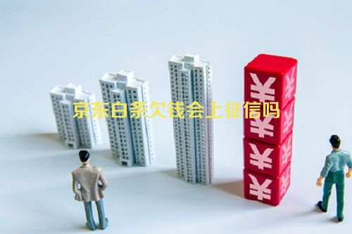 京东白条欠钱会上征信吗