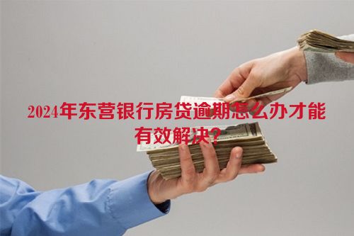 2024年东营银行房贷逾期怎么办才能有效解决？