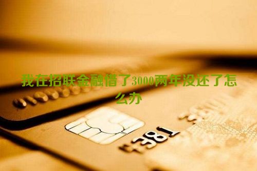 我在招联金融借了3000两年没还了怎么办