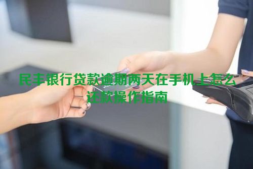 民丰银行贷款逾期两天在手机上怎么还款操作指南