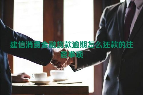 建信消费金融贷款逾期怎么还款的注意事项